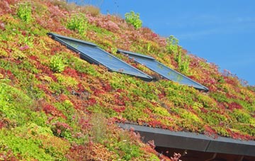 Felkington living roof systems